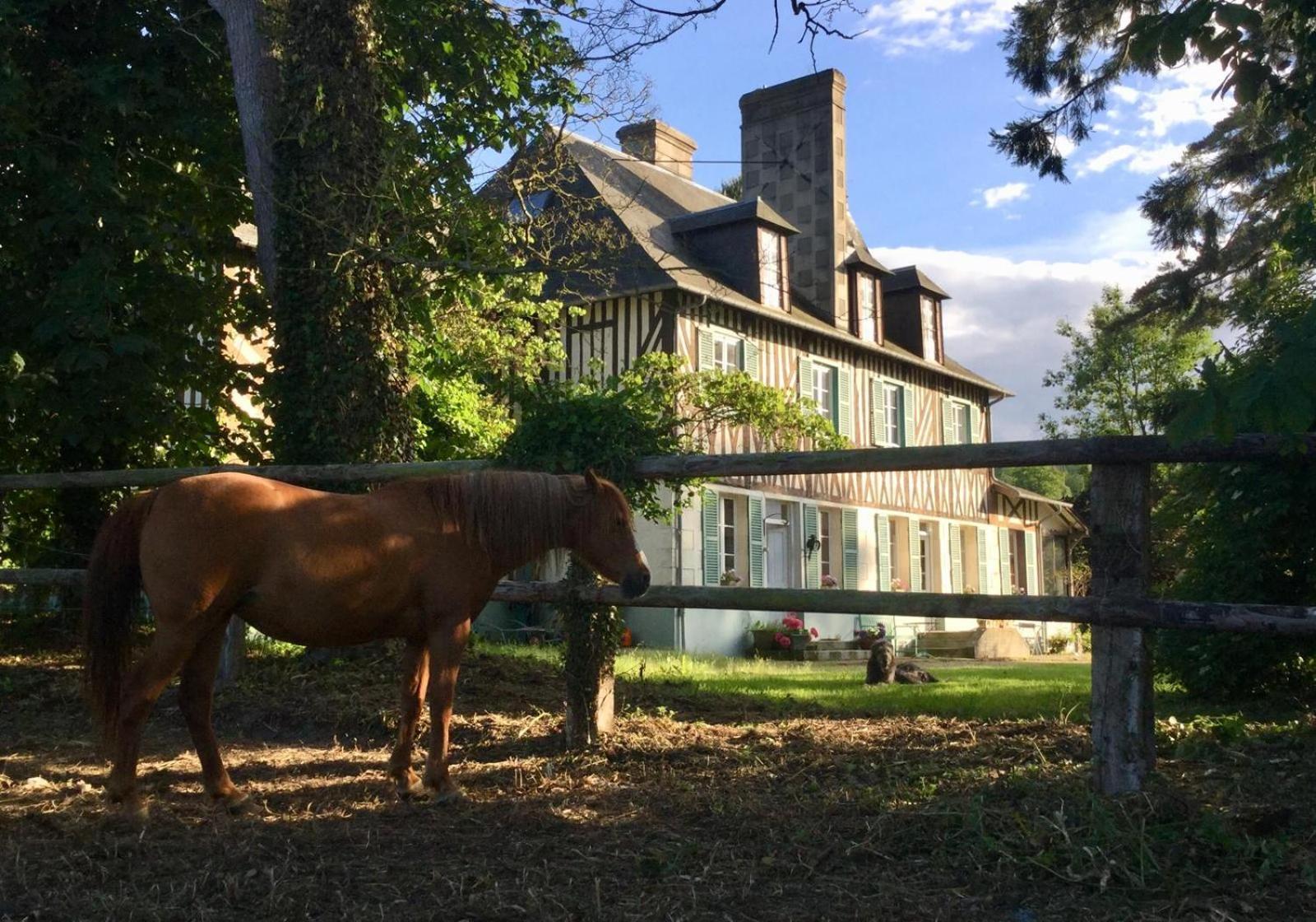 Le Domaine Lieu Bill, Normandie Blonville-sur-Mer Zewnętrze zdjęcie