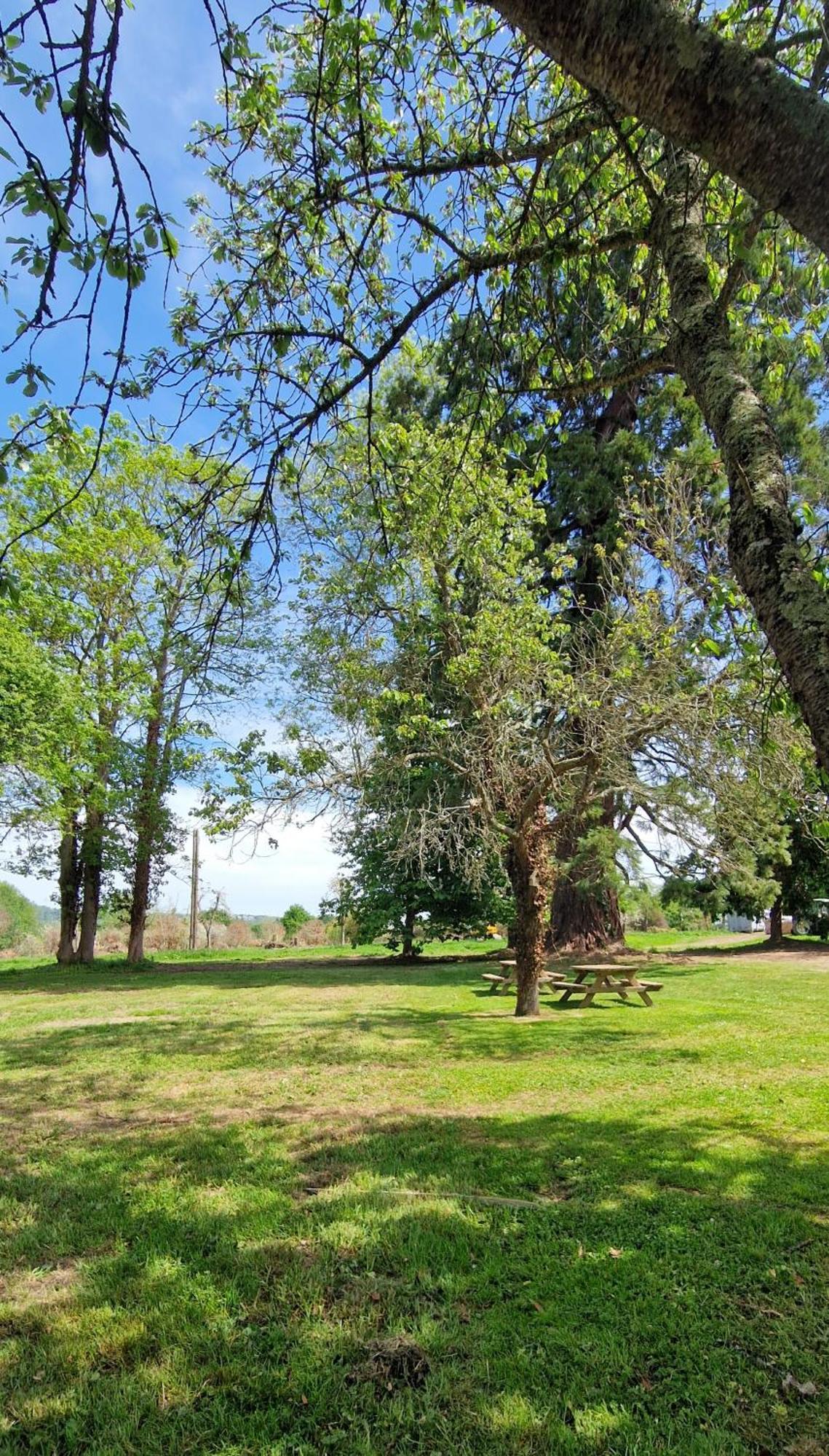 Le Domaine Lieu Bill, Normandie Blonville-sur-Mer Zewnętrze zdjęcie